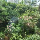 주)자명