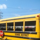 버드스쿨 이미지