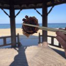 소연식당 - 진주시 | 소연식당