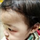 서울남부지방검찰청 이미지