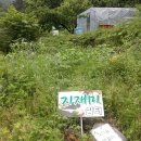 (주)사계절 Daum카페