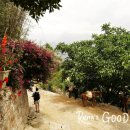 울기객잔 | 호도협 1박2일 트레킹 4대 객잔 후기 (나시-차마-중도-장선생)