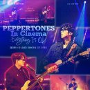 오케이투어㈜ 이미지