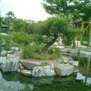 연못 이미지