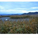 순천만 풍경 이미지