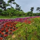 농업회사법인 정원 이미지