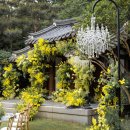 헬렌하우스 이미지