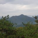 왕발 - 시흥시 삼미시장2길 36 | 왕발