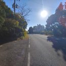 남조로수망교차로 4 이미지