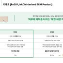 엘바바