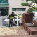 샘머리초교병설 이미지