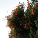 김봉호가옥 이미지