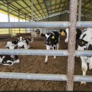 유레카목장 이미지