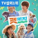 플레이독애견풀빌라 | 플레이독애견풀빌라 경기도 펜션, 여기서만 느낄 수 있는 특별한 경험이 있어요