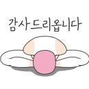 비석골근린공원물놀이장 이미지