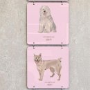 우리 강아지 이미지