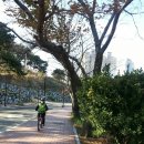 환희지유치원 Daum카페