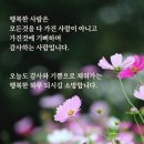 동영상＞ 복이 들어오는 황금 잉어(저장필수) 이미지