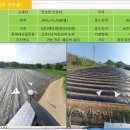 신촌2리 이미지