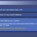 생각하는 황소는 아무 잘못이 없다