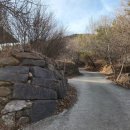 자연속의흙집 이미지