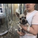 디위드동물병원 이미지