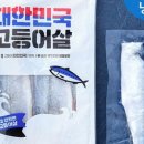 생선구이 이미지