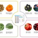 멀티푸드 이미지