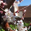 예덕옹심이칼국수 이미지