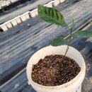 우당탕하우스 이미지