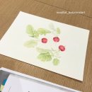 색연필로 그리는 꽃, 보태니컬 아트 | 색연필로 그리는 꽃과 열매, 보타니컬 아트 12월 첫째주 수업(CH 1985 압구정 본점)