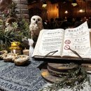 강남역 데이트 고민될 때? 분위기 미쳤던 감성 술집 ‘부엉이산장강남점’ 후기!