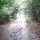 불은면-6 이미지