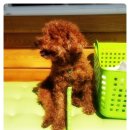 그집이야기펜션 이미지