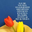 바이러스 이미지