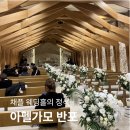 반포 | 아펠가모 반포 하객 후기 | 교통·식사·분위기 솔직 리뷰