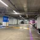 똥싼 강아지 펫아울렛 | 수원스타필드 🐶반려견 동반 가능한 대형쇼핑몰 방문 솔직 후기✌️