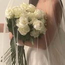 2974 | W15. 누도스튜디오 | 청주 웨딩촬영 후기
