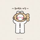 애니핏그라운드 이미지