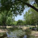 수로왕릉역(타고가야) 이미지