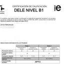 2024년 11월 DELE B2 시험 준비 및 합격 후기(feat. 에스뜨레야 스페인어)