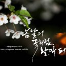 봄날의꽃처럼