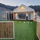 삐삐애견 이미지