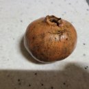 구름다리농장 이미지