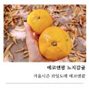 창신한우유통 주식회사 | 겨울 시즌 과일도매, 위탁판매까지 믿을 수 있는 에코앤팜 감귤 후기