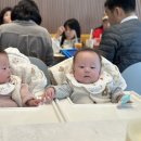 투썸플레이스 강진아트홀 이미지