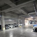 팜스 | 인천 청라 코스트코반품샵 코코팜스 방문 후기