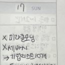 [패스폴리오 자기혁신] 29일차 : 매주 내가 얻은 실패와 성공을 쌓자