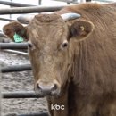 건이농장 이미지