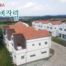 프렌치 비자림 이미지